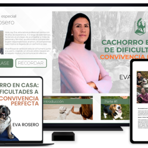 CACHORRO EN CASA: DE DIFICULTADES A CONVIVENCIA PERFECTA