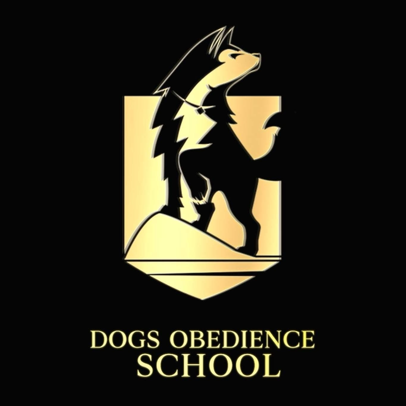 Dogs Obedience School
